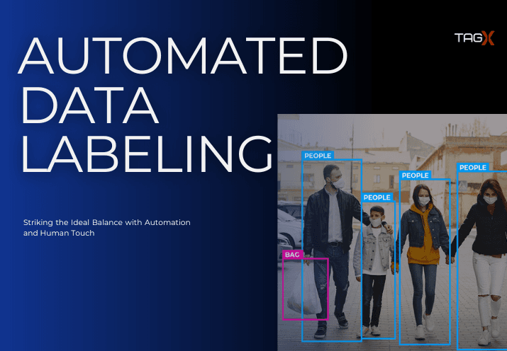 Automated Data Labeling and Human Expertise: What's the Right Approach?