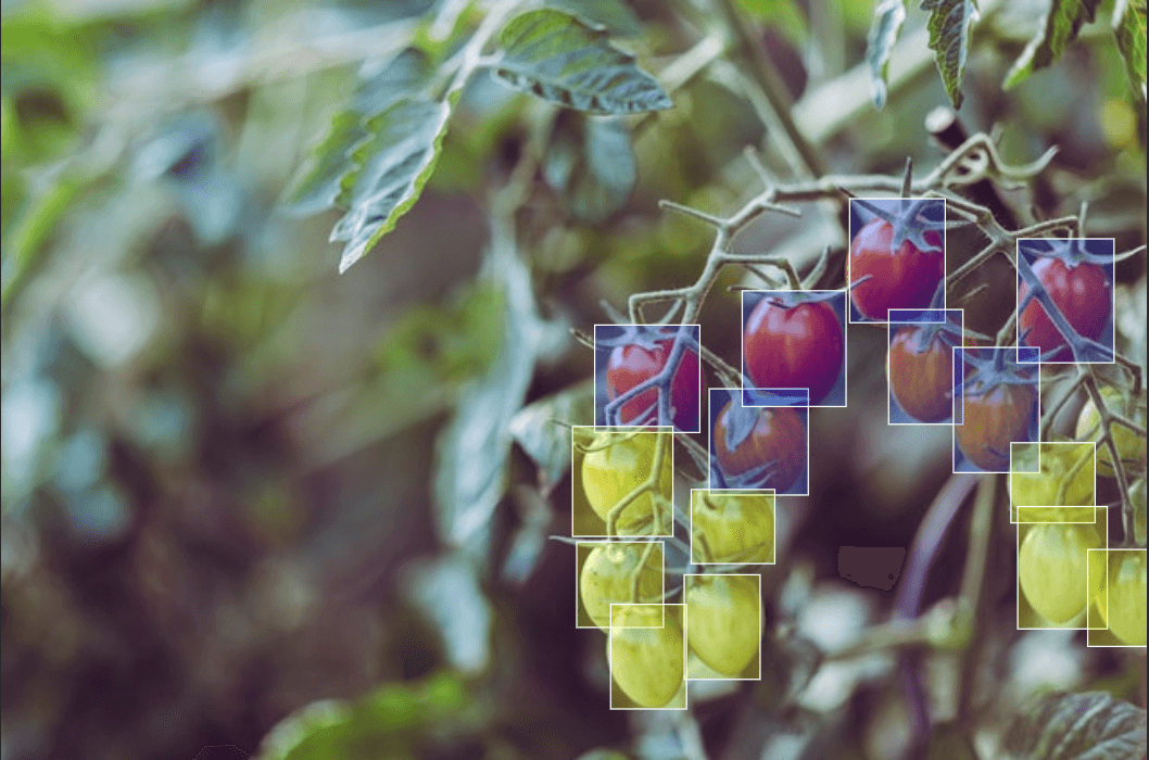 How crucial is Image Annotation for Agriculture to Adapt AI?