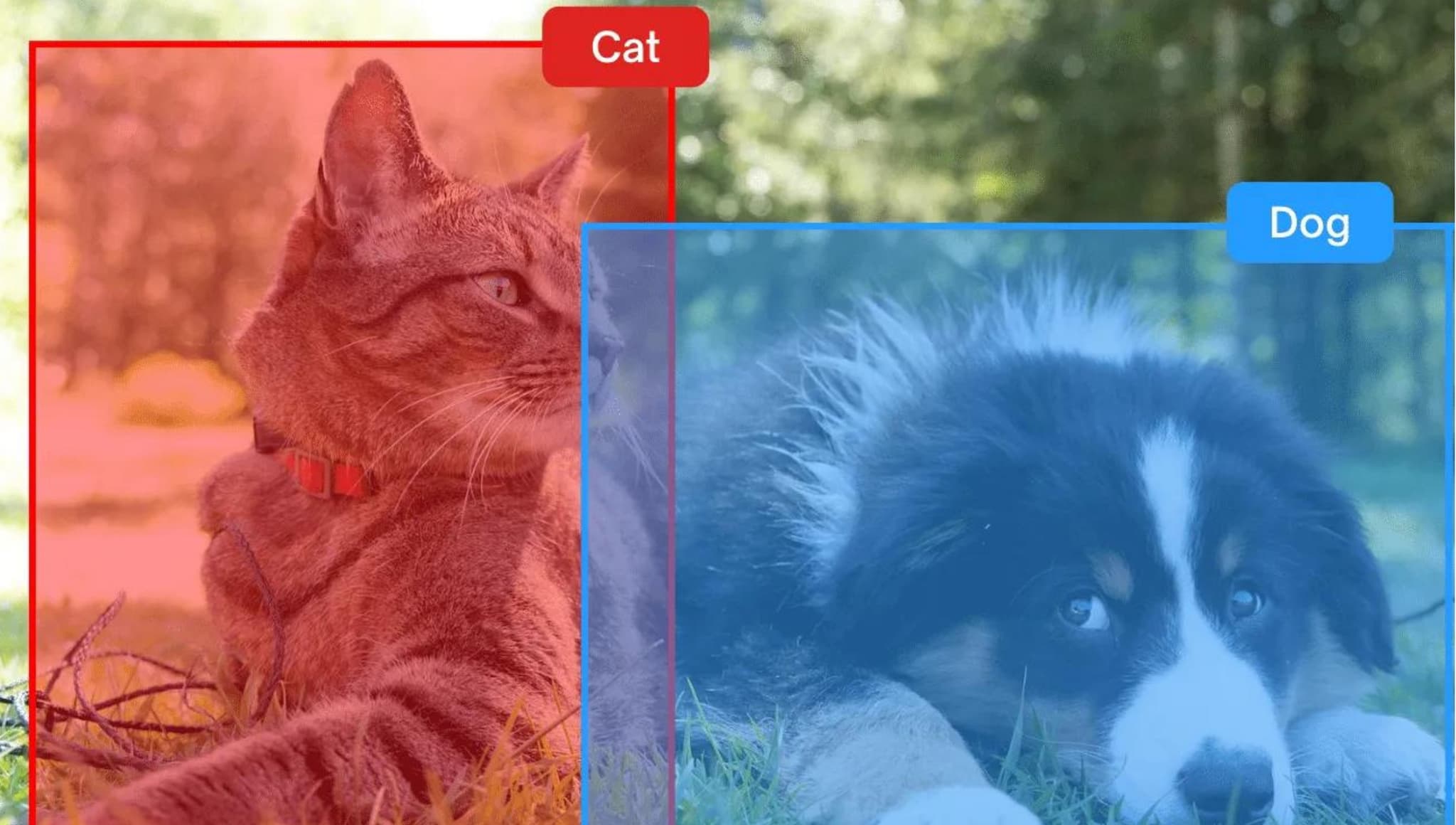 Guide to Image Classification & Object Detection