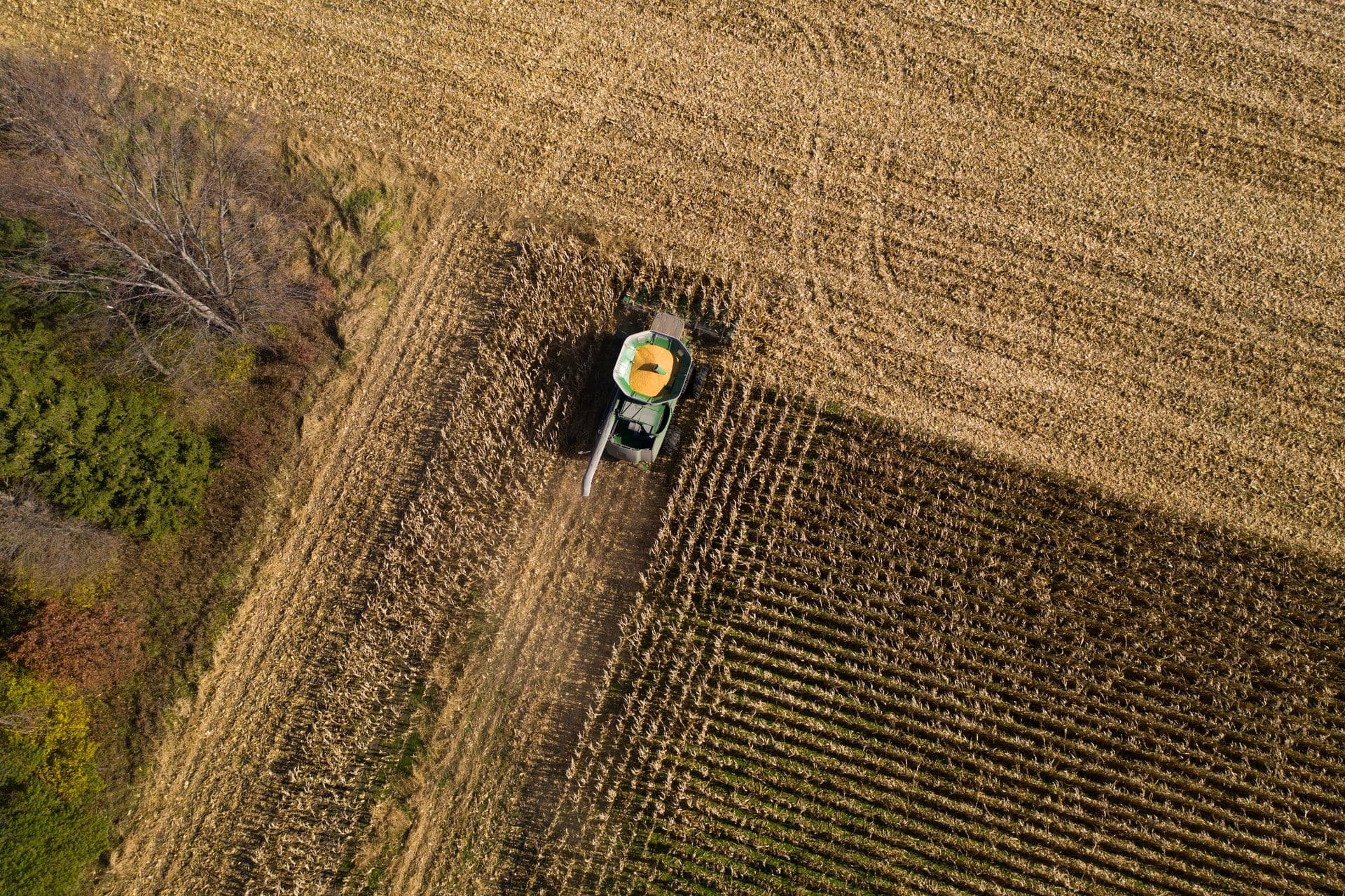 How Artificial Intelligence and Machine Learning Can Help In Agriculture