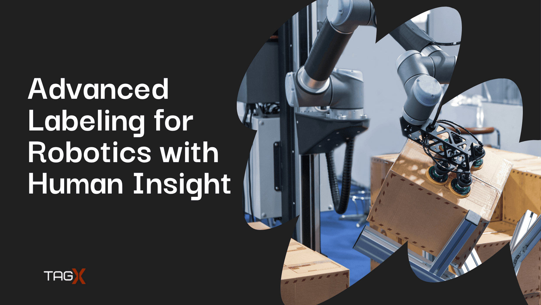 Precise automated labeling with human insight for Robotics
