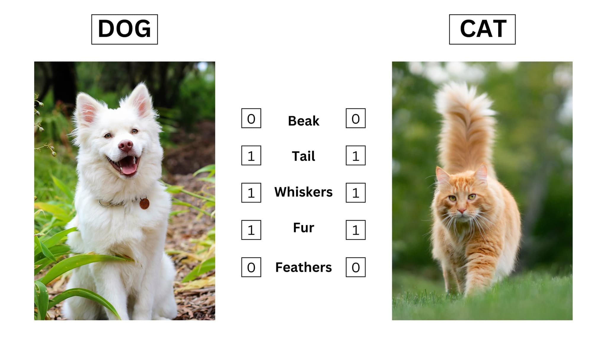 The Magic of Zero-Shot Classification