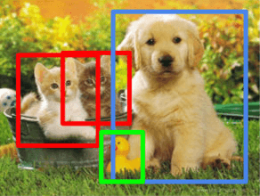 Guide to Image Classification & Object Detection